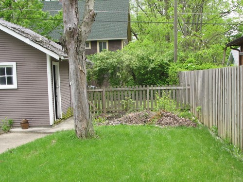 BEFORE PHOTO: we composted on the site for a year before to help prepare it