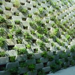 TNC 2010-06-23 009 A closer view of the living walls