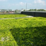 TNC 2010-06-23 016 The green roof