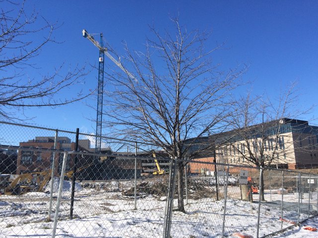 Downtown | Urban Indy